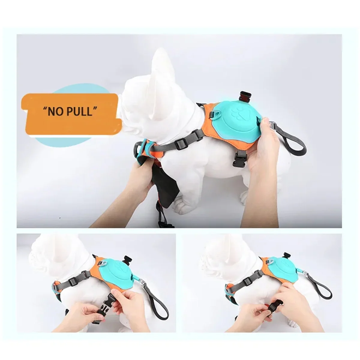 2 in 1 Retractable Harness Leash