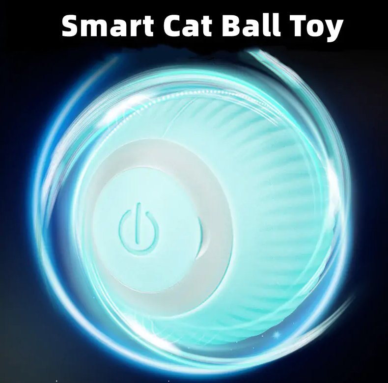 Smart Ball for Pets