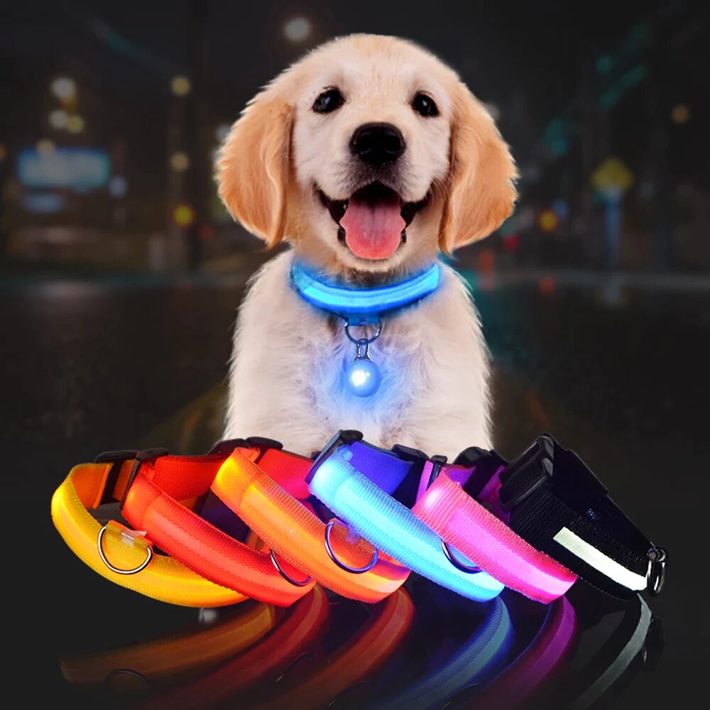 LED Dog Safety Collar – Night Glow