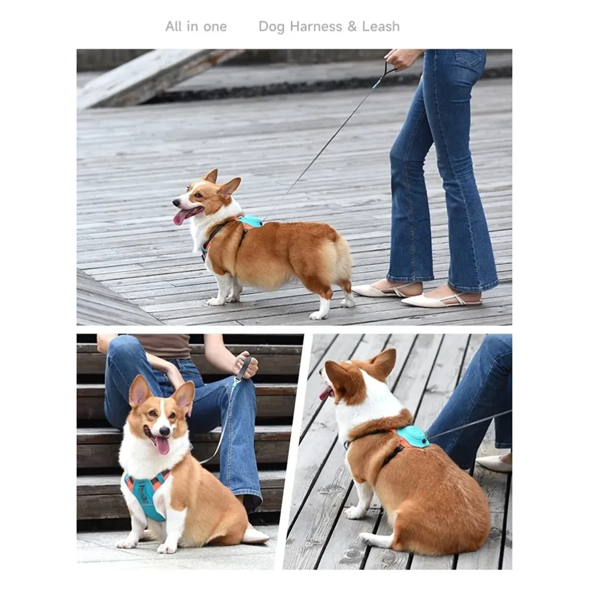 2 in 1 Retractable Harness Leash